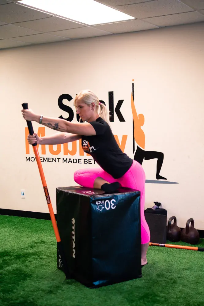 Stick Mobility tyč 142 cm